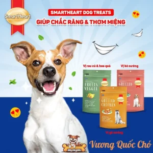 Bánh Thưởng Chó SmartHeart: Bí Quyết Nuôi Dưỡng Chó Cưng Hoàn Hảo