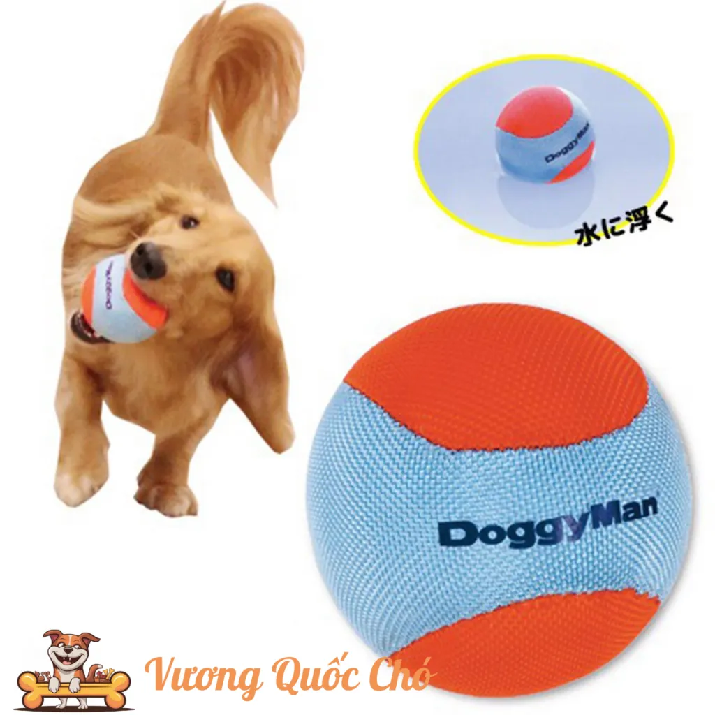 Đồ Chơi Cho Chó Banh Mềm Đặc Ruột Doggyman: Công Dụng Đa Năng