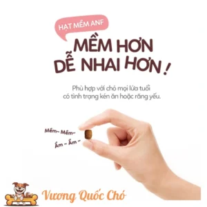 THỨC ĂN HẠT MỀM CHO CHÓ ANF SOFT - Mang Đến Sức Khỏe Trọn Vẹn