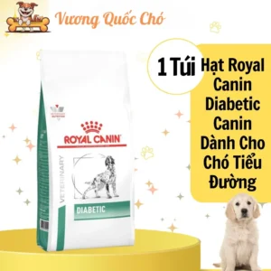 Thức Ăn Cho Chó Royal Canin Diabetic: Hỗ Trợ Kiểm Soát Dinh Dưỡng