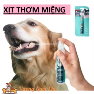 Xịt Thơm Miệng Chó Mèo Fresh Friends 14ml